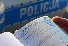 Policja podsumowała wakacje 2023. Wyższe mandaty działają?