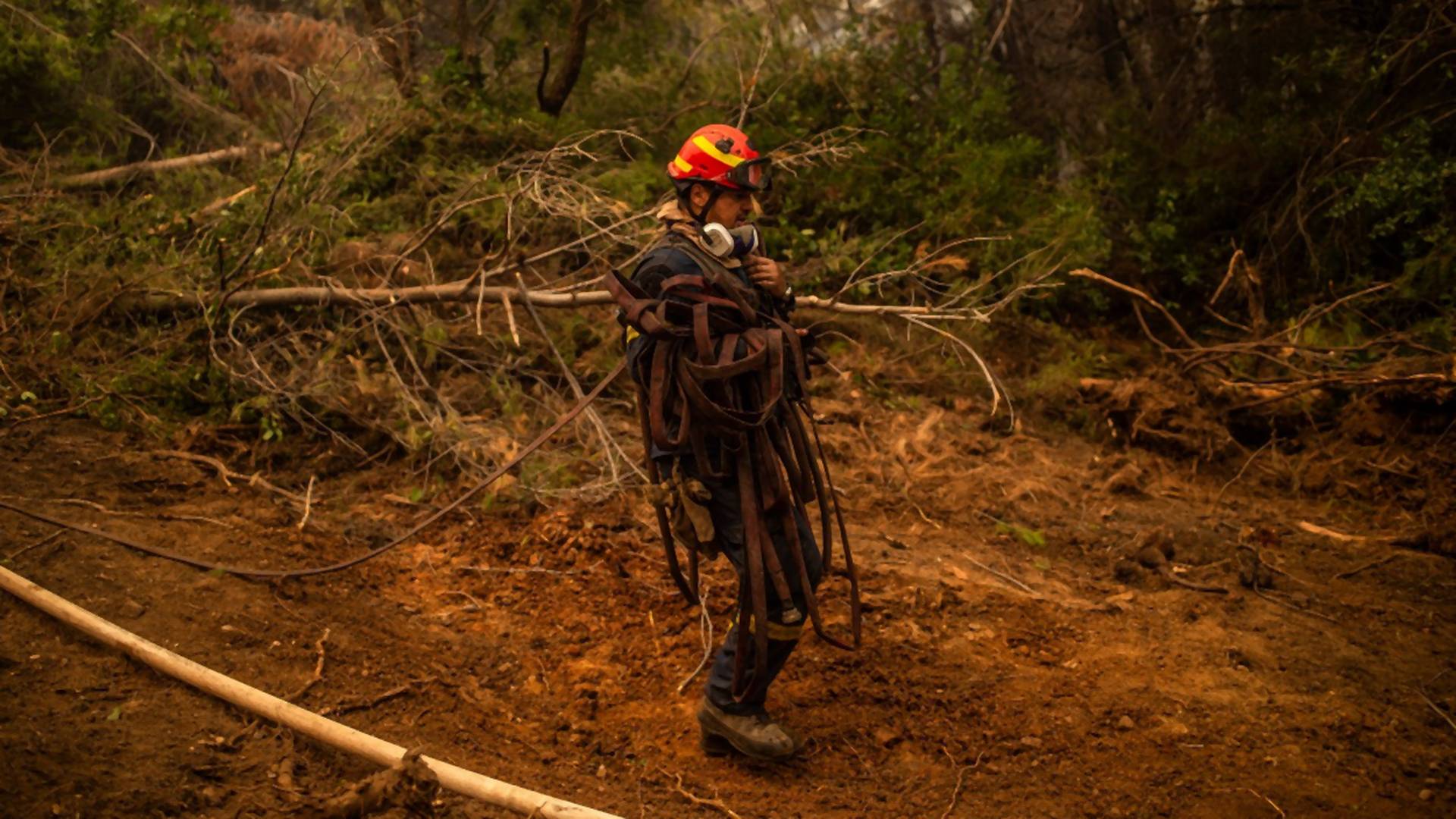 Gori cela šuma, a grupa Srba ulazi u vatru i kao roboti smiruju stihiju - grčki novinari ne mogu da prestanu da hvale naše vatrogasce