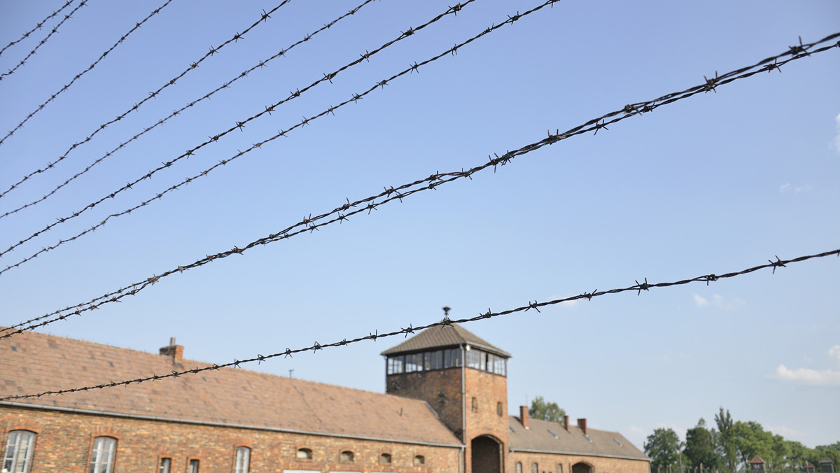 "Działanie gier, takich jak Pokemon Go, w Miejscu Pamięci Auschwitz narusza pamięć ofiar niemieckiego obozu" – podkreślił dziś rzecznik Muzeum Auschwitz Bartosz Bartyzel. Zaapelował, by producenci uniemożliwili używania tego typu miejsc w zabawie.