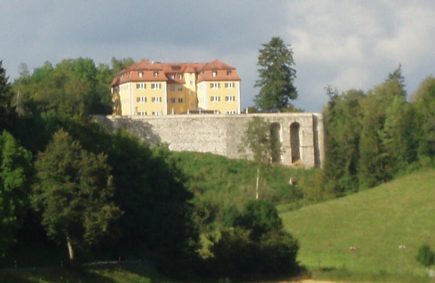 Ustanova za eutanaziju "Dvorac Grafenek"
