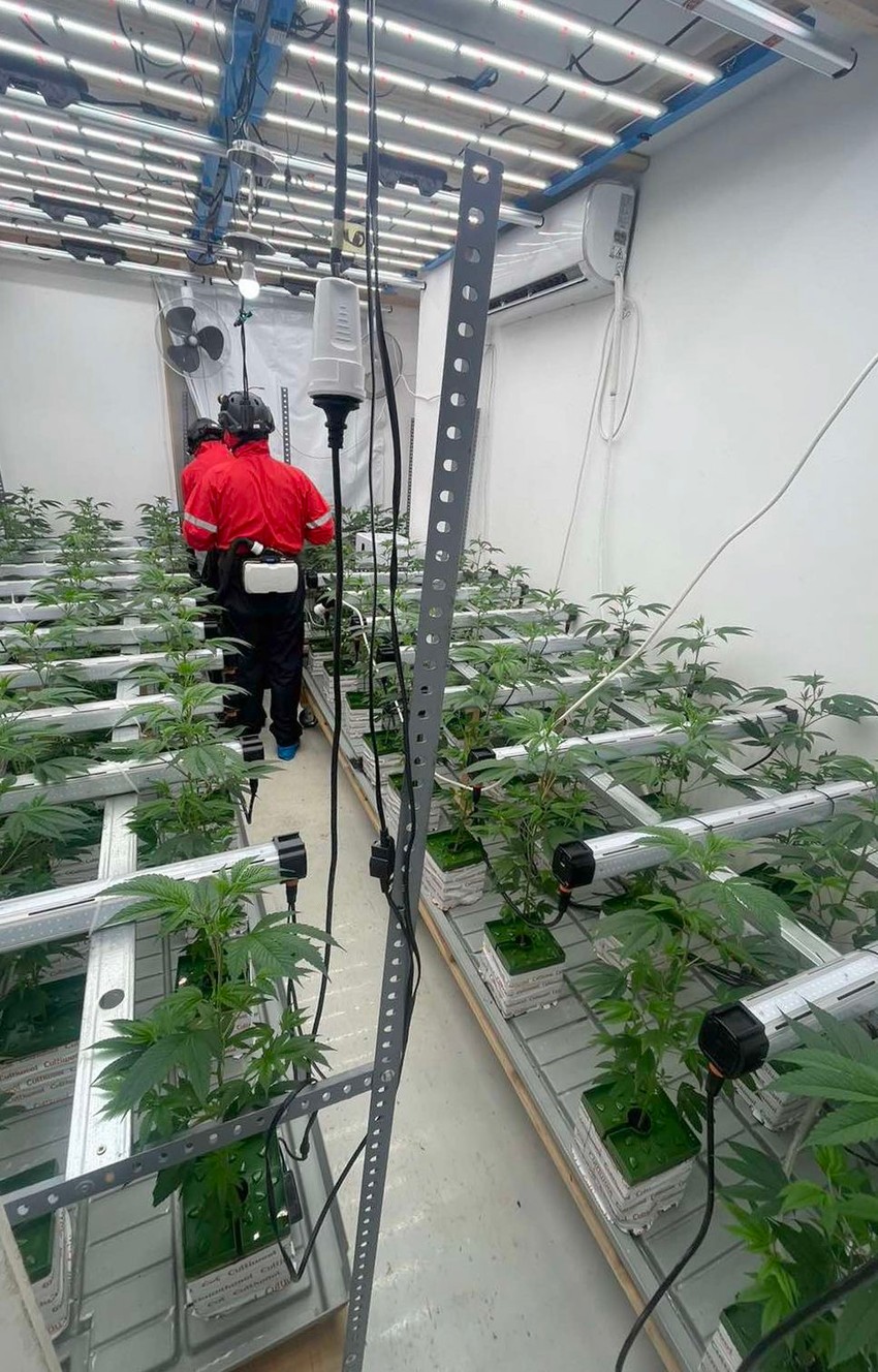 Otkrivena laboratorija marihuane 