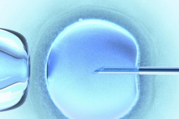 ZAPLODNIENIE IN VITRO MEDYCYNA 