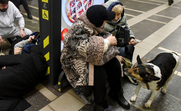 Pomoc dla zwierząt z Ukrainy