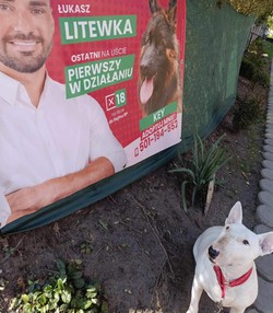 Pomaga zwierzętom i wszedł do Sejmu. Teraz może być kandydatem Lewicy na prezydenta