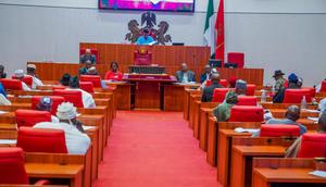 Secondary chamber of the Nigerian Senate [Tope Brown]