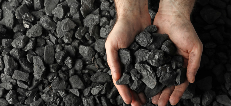 Warszawa rozpoczyna sprzedaż tańszego węgla. Dotarła pierwsza partia