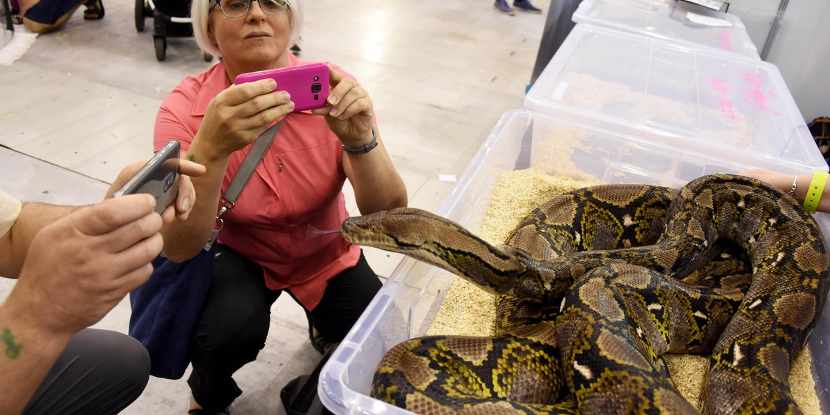 Największa zoowystawa w Międzynarodowym Centrum Kongresowym