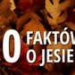 10 faktów o jesieni