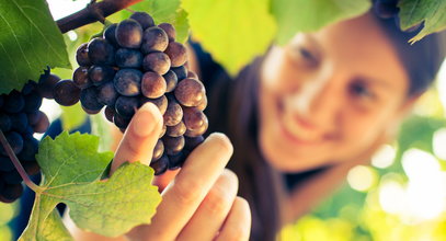 Winogrona warto jeść nawet z pestkami. Zrób to dla swojego serca i nie tylko!