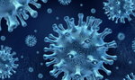 Groźna choroba atakuje w Polsce! Wirus zabił już 23 osoby