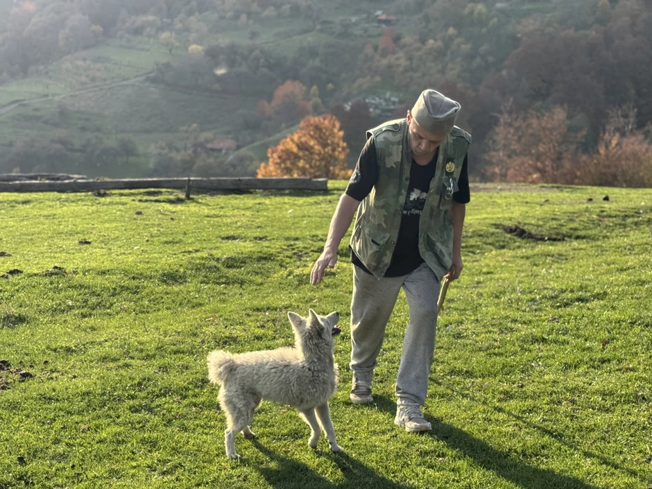 Budo je sa Pala došao na Goliju