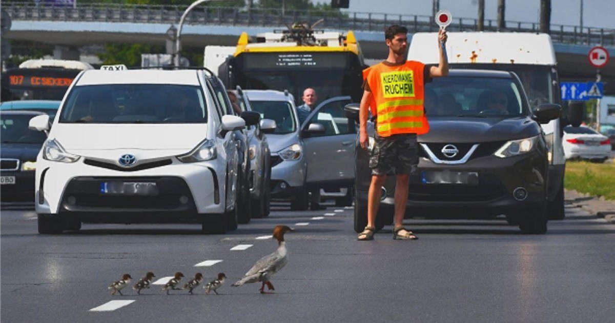 Pora na głosowanie! Fenomen stolicy – wybierz to co jest niezwykłe w Warszawie