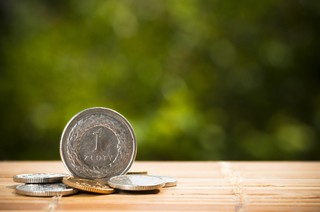 Złoty może kontynuować umocnienie w przyszłym tygodniu