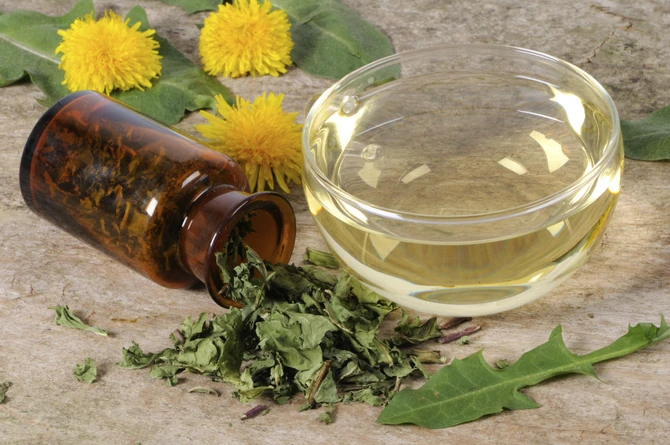 Čaj od maslačka ima diuretička svojstva