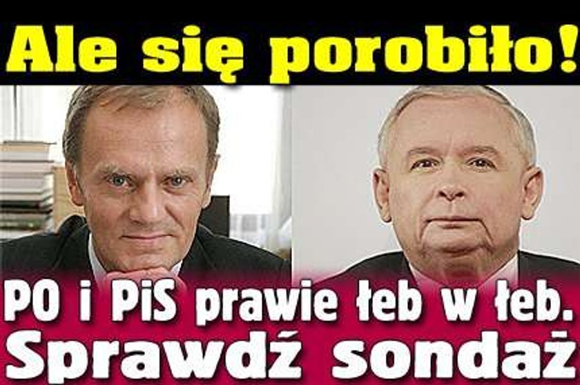 Ale się porobiło! PO i PiS prawie łeb w łeb. Sprawdź sondaż