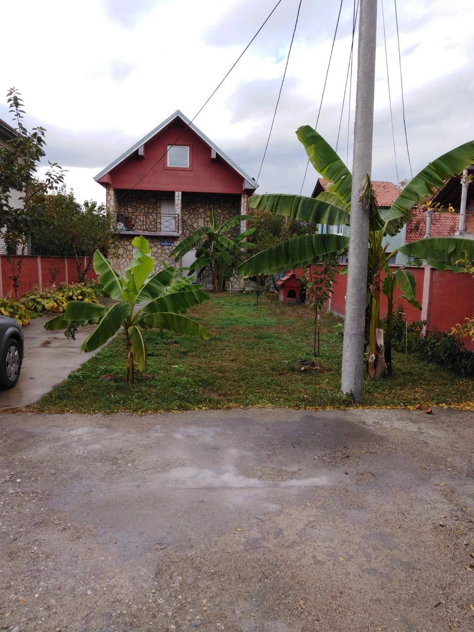 Tropski voćni raj u Borči