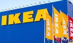 IKEA będzie tym teraz karmić klientów. Nie uwierzycie!