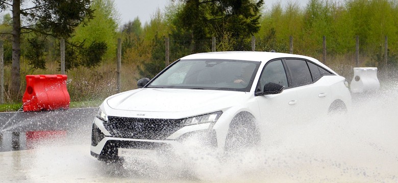 NOWY Peugeot 408 kradnie show w Polsce! Tak Francuzi złamali schemat
