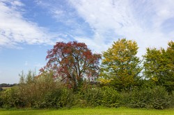 Pogoda zaskakuje. IMGW wydał ostrzeżenie I stopnia