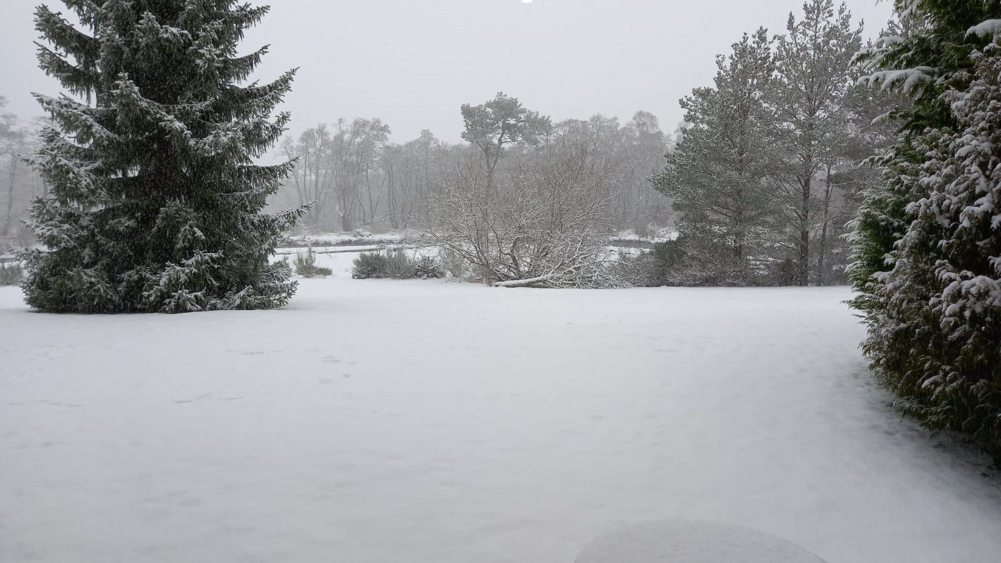 Snow warnings across UK: Up to 8 inches forecast