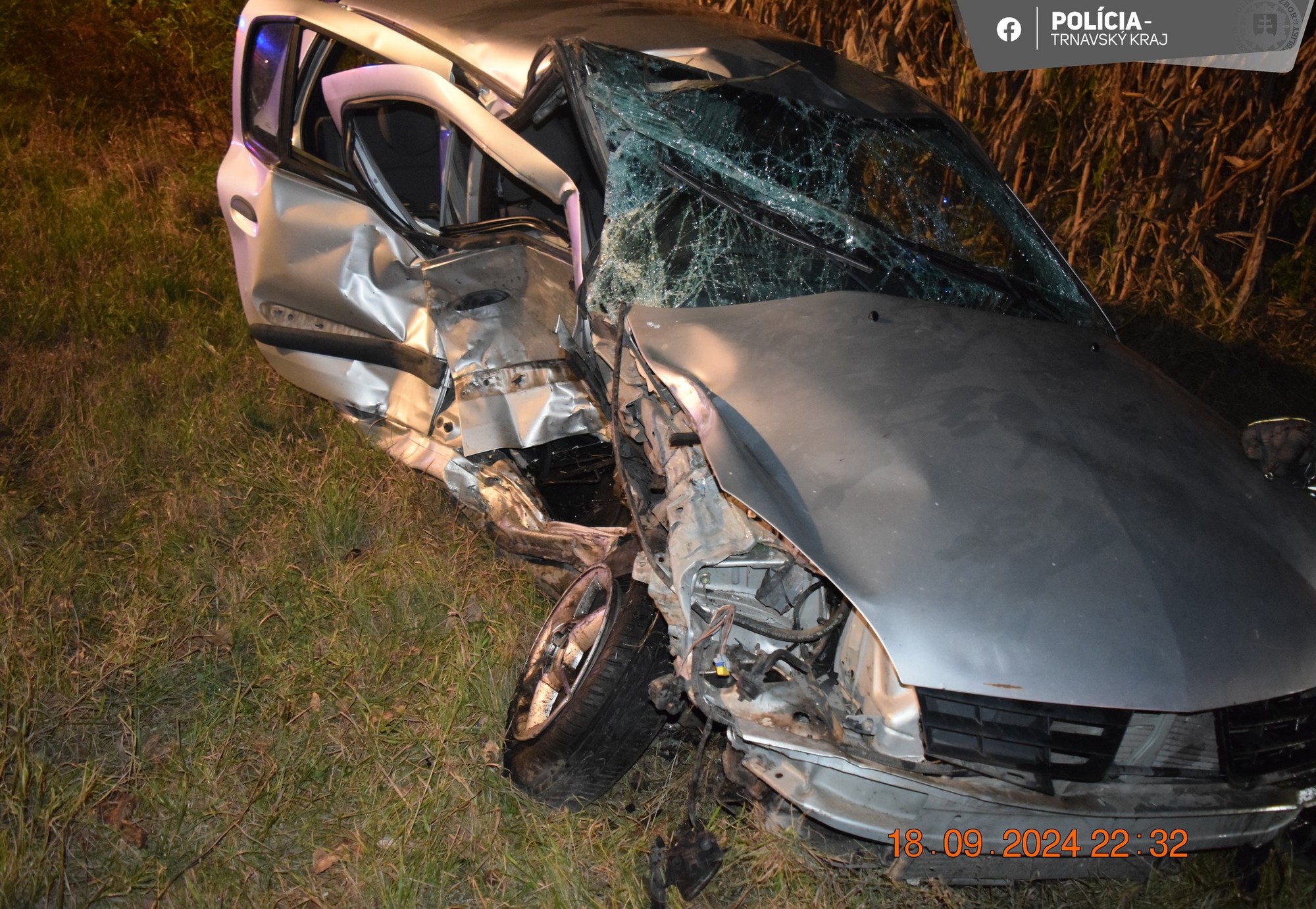 Policajti vyšetrujú okolnosti nehody troch vodičov a diviaka pri Veľkej Mači.