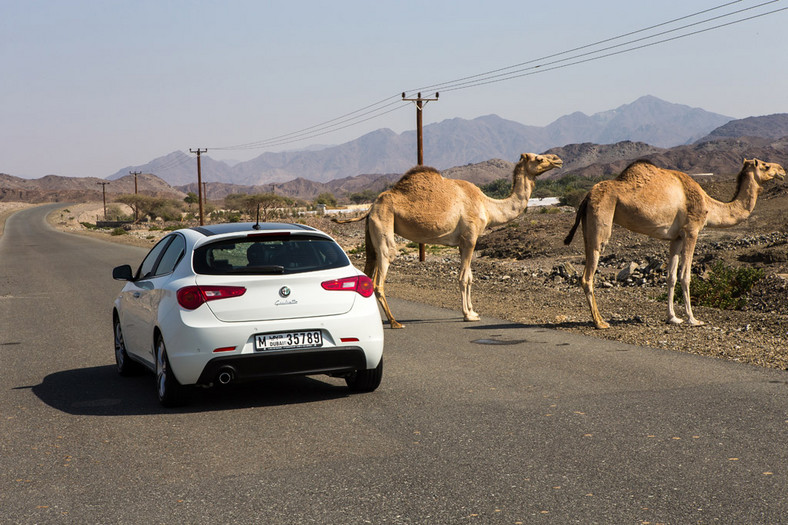 Alfa Romeo na Bliskim Wschodzie