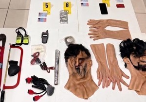 hapšenje Pink Pantera u Italiji