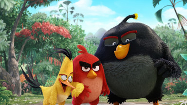 Angry Birds: nie zadzieraj z ptakami