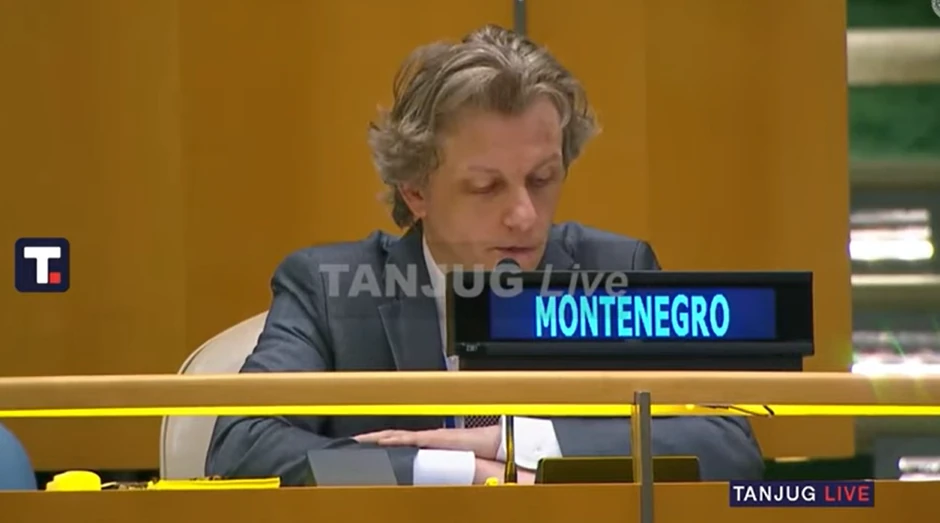 Predstavnik Crne Gore Damir Šabanović