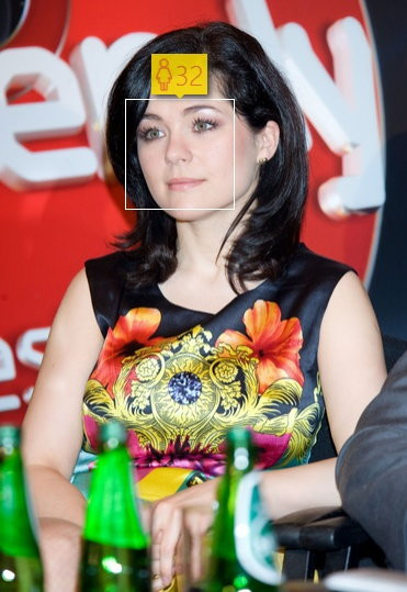 Katarzyna Cichopek  w 2010