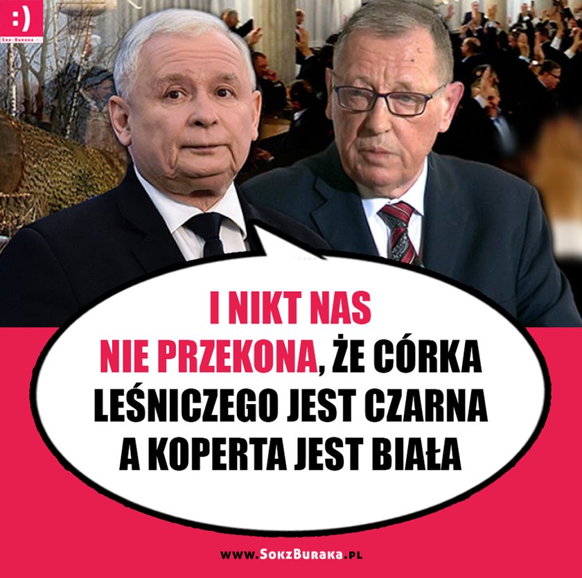 „Córka leśniczego” w prokuraturze. Poważny problem PiS?