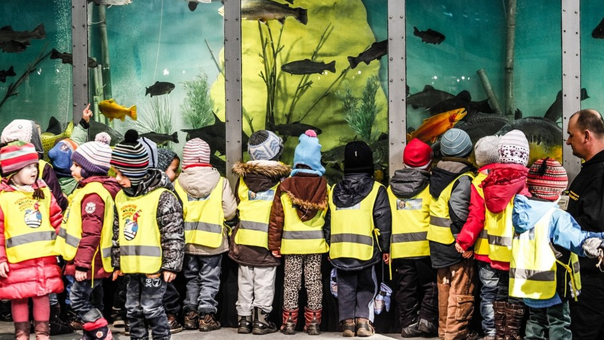 Zbiornik o pojemności 23 tysięcy litrów przyjedzie do Poznania z Portugalii. Mieszkańcy będą mogli je podziwiać na MTP z okazji Targów Wędkarskich "Rybomania". Dla dzieci będzie ono dostępne już kilka dni wcześniej - i to za darmo. Ruszyły już zapisy dla grup szkolnych oraz przedszkolnych, które przy okazji będą mogły dowiedzieć się sporo o podwodnym życiu ryb.