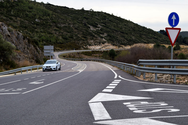 Seat Leon Cupra ST 290