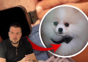 Ovo je ranjeni muškarac na Novom Beogradu