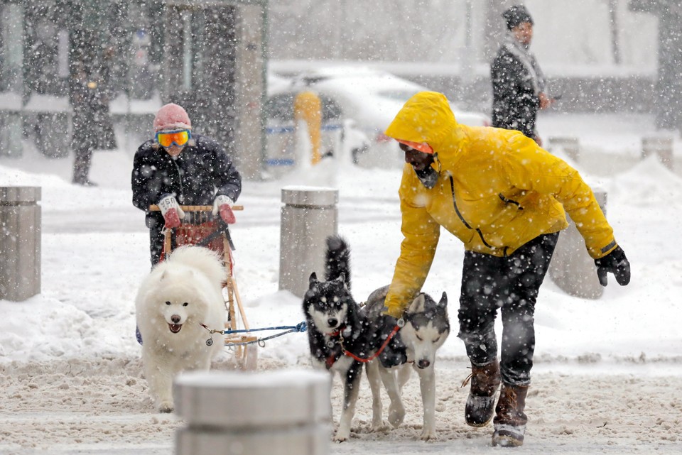 epa06417212 - USA NEW YORK SNOW STORM (Winter Snow Storm New York)