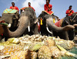 Tajowie świętują Narodowy Dzień Słonia