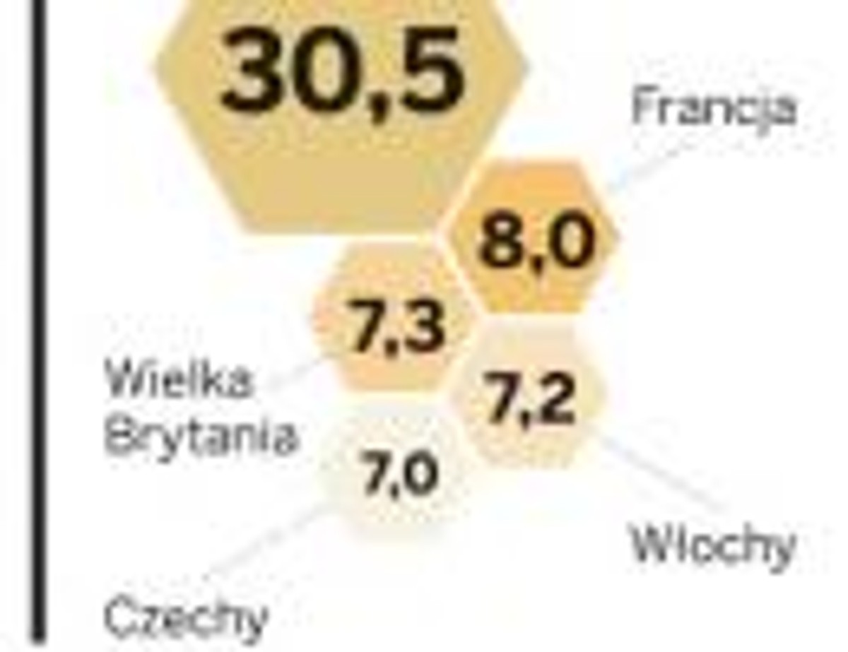 Najwięksi odbiorcy polskich towarów