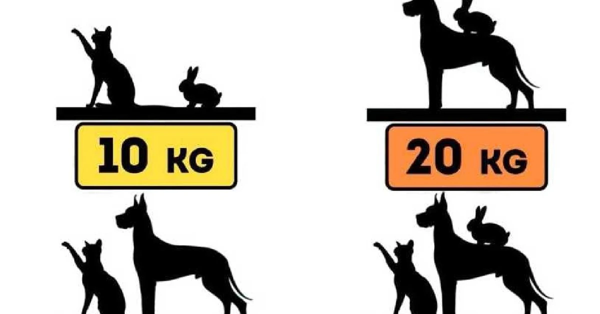 Trening dla geniuszy. Tylko 2 proc. najbystrzejszych umysłów rozwiązuje tę łamigłówkę w 6 sekund. Podejmiesz się?