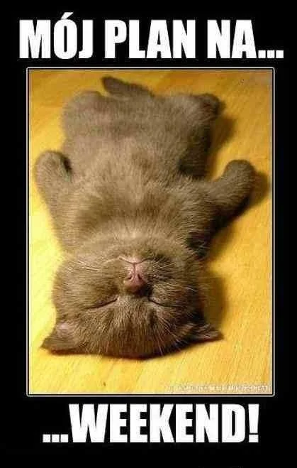 -ypk9kpTURBXy9iZmZmMmE0NWUzMWQ3OWQyZGY5Y