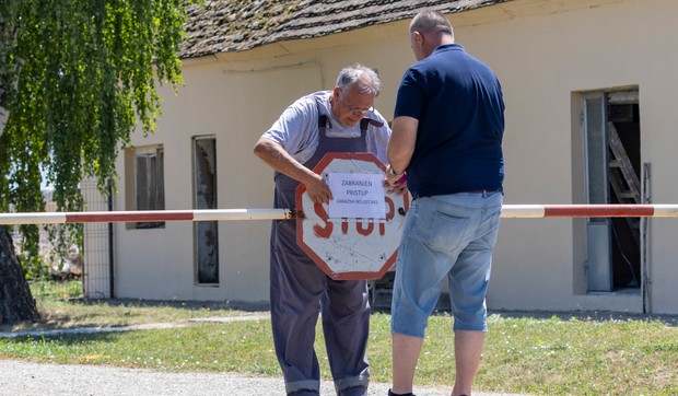 Farma svinja