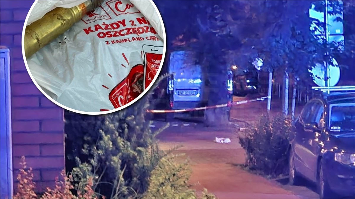 Podejrzana reklamówka w Pruszkowie. Ściągnięto wszystkie słu