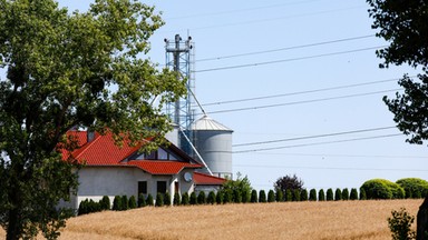 Był poszukiwany listem gończym. Znalazł nietypową kryjówkę