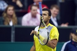 Berdych i Tsonga w finale turnieju w Marsylii