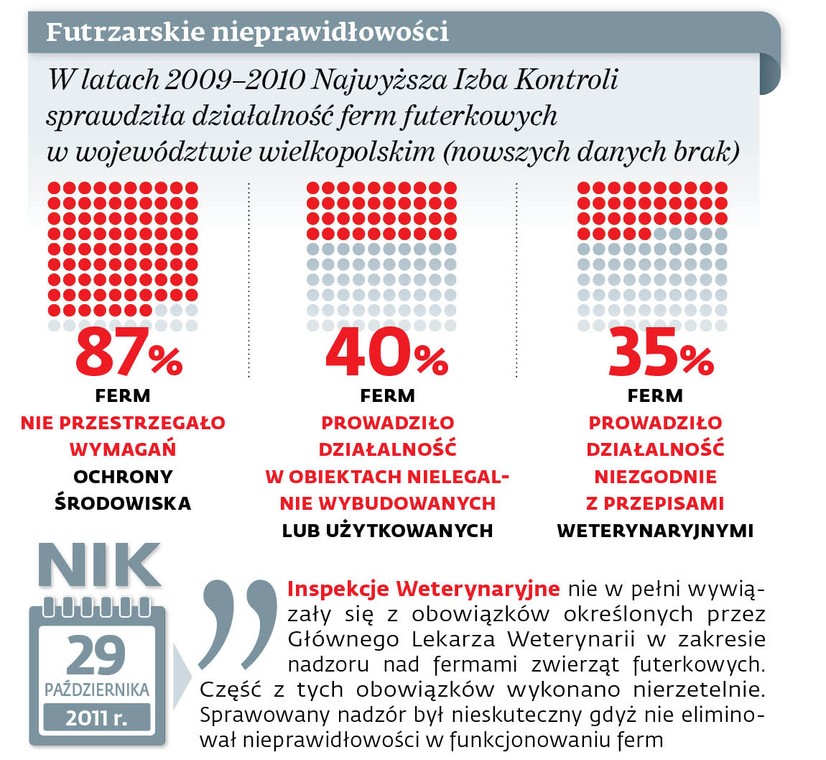 Futrzarskie nieprawidłowości