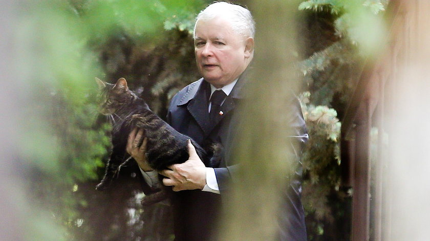 Jarosław Kaczyński z kotem