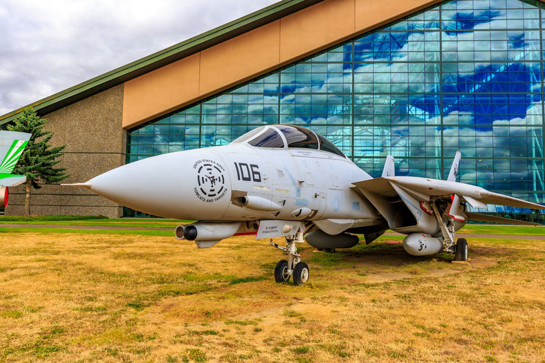 F-14 Tomcat