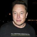 Musk wprost o szefie FTX. Sugeruje więzienie