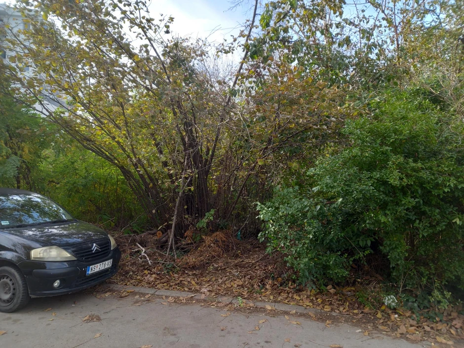 Uviđaj na licu mesta