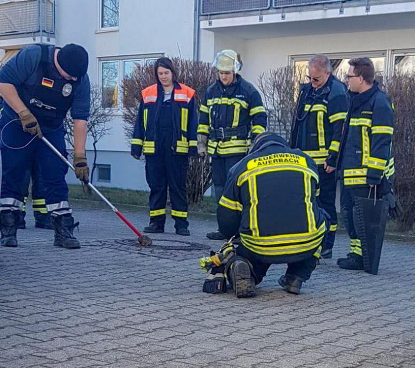 Nietypowa akcja strażaków w Niemczech. Uratowali... szczura