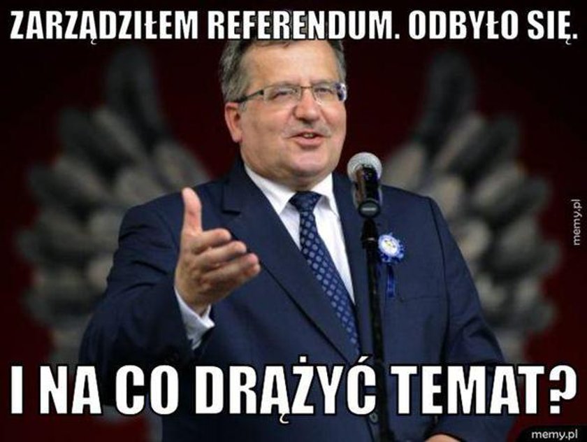 Memy po referendum